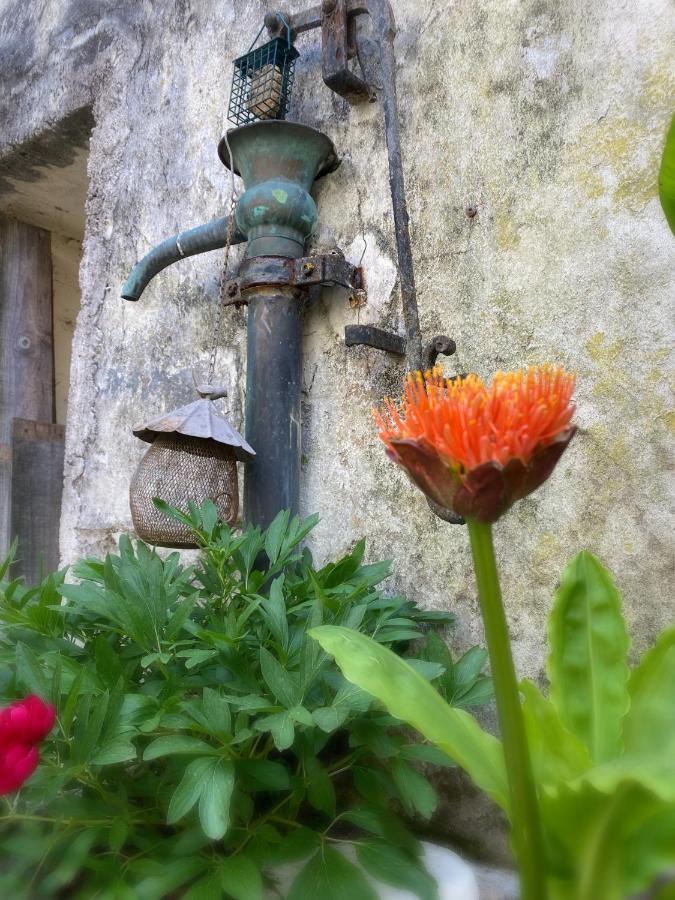 Serendipity Eymet B&B Dış mekan fotoğraf